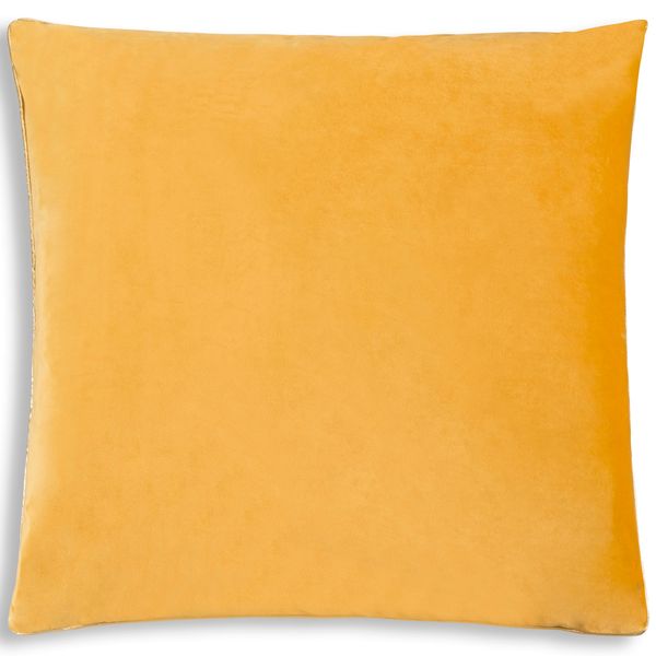 Noah Coussin, Mustard/Or